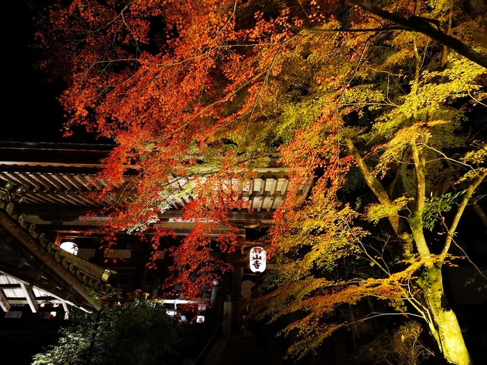 藤原道長が和歌を詠んだ千年後 満月を眺めた石山寺での紅葉ライトアップ あたら夜もみじ 霊場巡りの旅ブログ